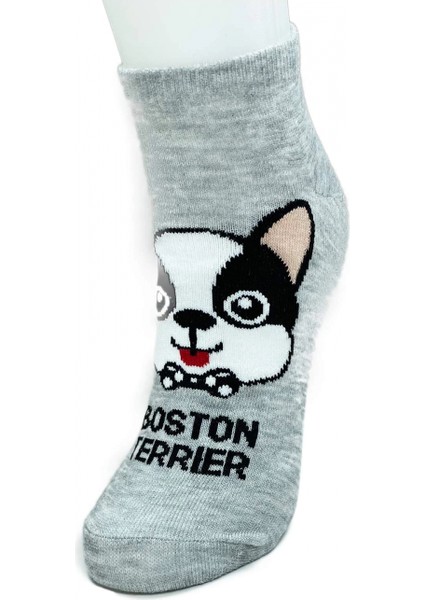 3 Çift Sevimli Köpek Temalı Baskılı Yumuşak Kadın Bilek Çorap fiyatları