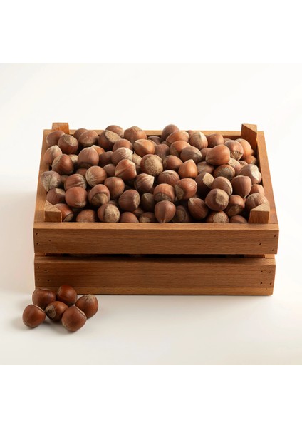 Giresun Kabuklu Fındık 250 Gram