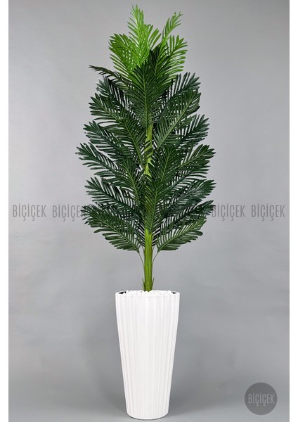 Yapay Areka Ağacı Büyük Boy Palmiye Ağacı Dekoratif Kumsal Bej Renk Saksıda modelleri