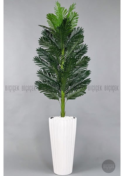 Yapay Areka Ağacı Büyük Boy Palmiye Ağacı Dekoratif Kumsal Bej Renk Saksıda fırsatları