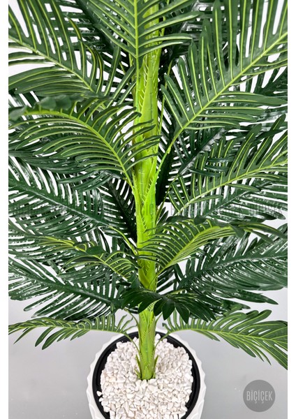 Yapay Areka Ağacı Büyük Boy Palmiye Ağacı Dekoratif Kumsal Bej Renk Saksıda