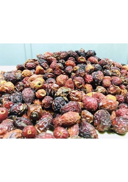 kuşburnu kurusu 10 kg fiyatları