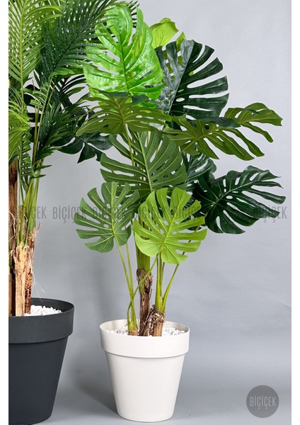 Yapay Areka-Büyük Boy Palmiye Ağacı 4 Bambu Gövdeli ve Monstera-Devetabanı Ağacı Yalı Saksıda modelleri