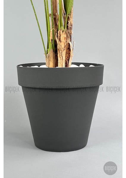 Yapay Areka Ağacı Büyük Boy Palmiye Ağacı 4 Bambu Gövdeli 220CM Antrasit Renk Yalı Saksıda fiyatları