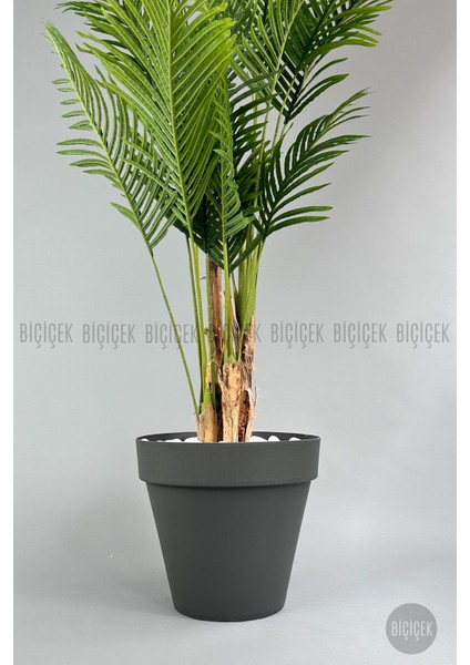 Yapay Areka Ağacı Büyük Boy Palmiye Ağacı 4 Bambu Gövdeli 220CM Antrasit Renk Yalı Saksıda fırsatları