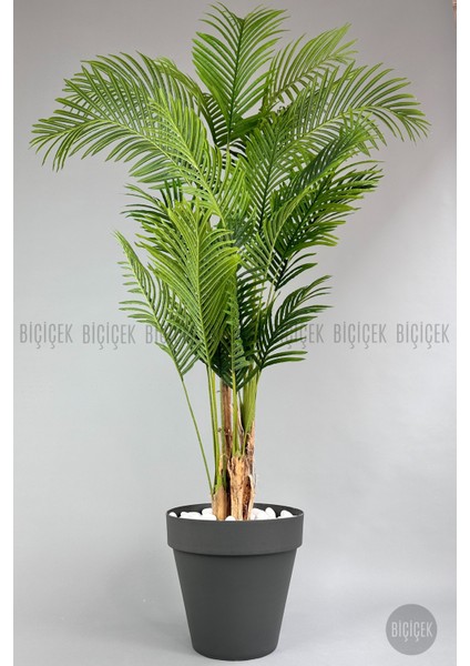 Yapay Areka Ağacı Büyük Boy Palmiye Ağacı 4 Bambu Gövdeli 220CM Antrasit Renk Yalı Saksıda indirimleri