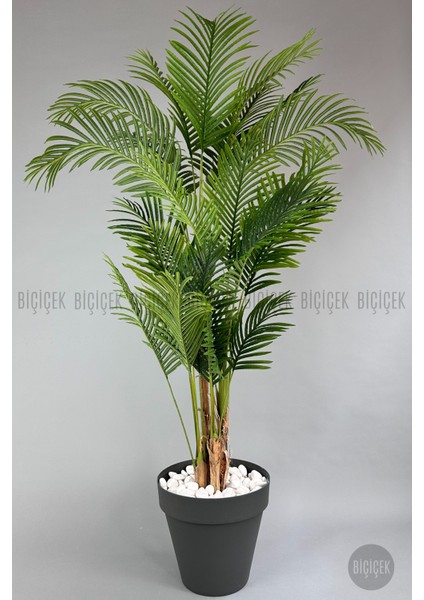 Yapay Areka Ağacı Büyük Boy Palmiye Ağacı 4 Bambu Gövdeli 220CM Antrasit Renk Yalı Saksıda