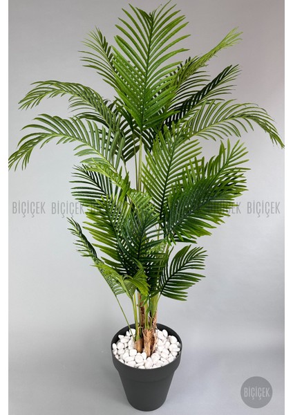 Yapay Areka Ağacı Büyük Boy Palmiye Ağacı 4 Bambu Gövdeli 220CM Antrasit Renk Yalı Saksıda