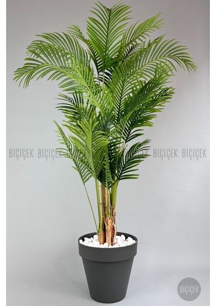 Yapay Areka Ağacı Büyük Boy Palmiye Ağacı 4 Bambu Gövdeli 220CM Antrasit Renk Yalı Saksıda