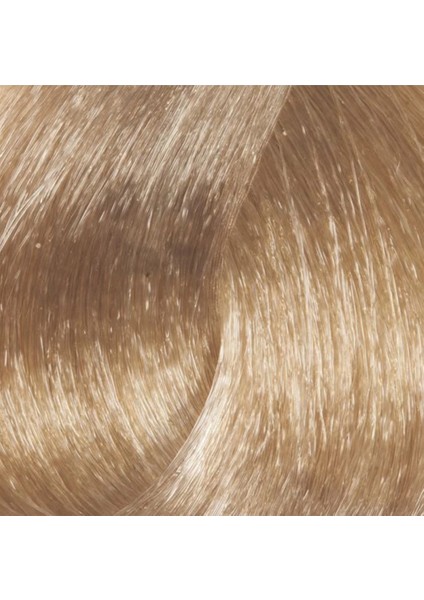 Premium 11.10 Ekstra Açık Küllü Platin - Kalıcı Krem Saç Boyası 50 G Tüp fiyatları