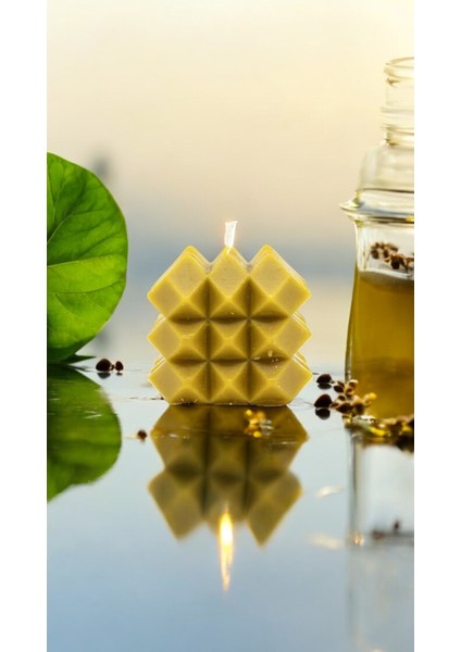 Troya Prizma 2’li Takım Bal Mumu fırsatları