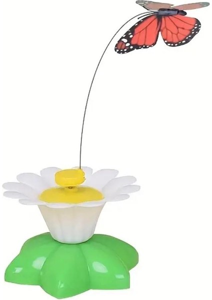 Pilli Hareketli Dönen Kelebek Kedi Oyuncağı Catch Butterfly modelleri