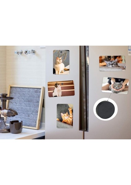 50 Adet 18X3 mm Yuvarlak Mıknatıs, Çok Amaçlı, Süsleme Mıknatısı, Ferrit Magnet -Kokulu Taş-Nişan Mıknatısı indirimleri