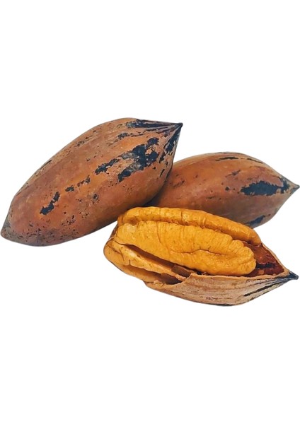 Kabuklu Pikan ( Pekan ) Cevizi 500 gr