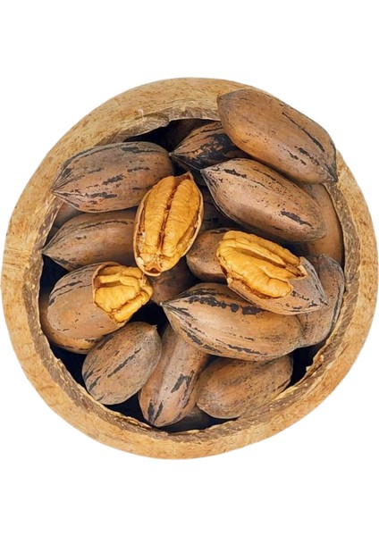 Kabuklu Pikan ( Pekan ) Cevizi 500 gr fiyatları