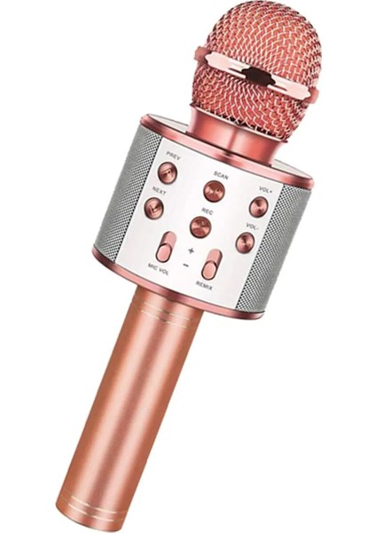 Bluetooth Karaoke Mikrofon (5282)