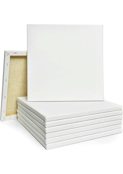 TUVAL 40x50 cm Arkadan Zımbalı Yüksek Kaliteli Astarlı Hazır Boş Tuval Tablo fırsatları