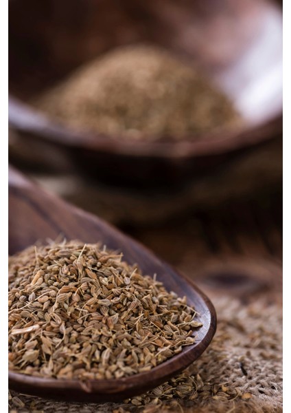 Anason Deluxe Seri Organik Lezzetli 100 gr fiyatları