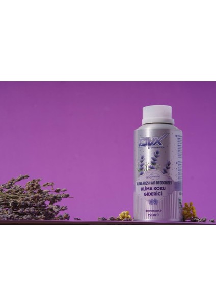 Klima Temizleyici ve Koku Giderici Klima - Lavanta Kokulu 150 ml fırsatları