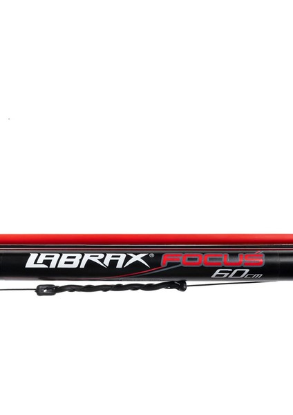 Focus Zıpkın + Tam Kurulu (Şok Lastikli) 30CM fiyatları