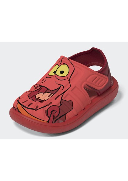 IH1235 Water Sandal Sebastıan I modelleri