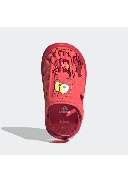 IH1235 Water Sandal Sebastıan I indirimleri