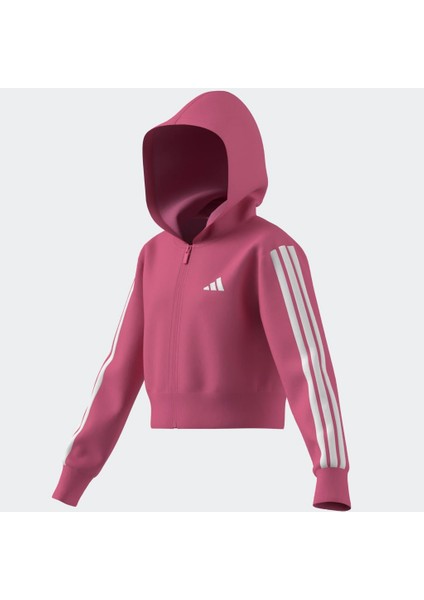 JY4983 Jg 3s Ft Fz Cro