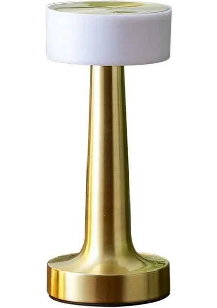 Zengezur NOAS-YL86-1232-SAMOS Masa Lambasi Şarj Edilebilir Gold-3 Renk
