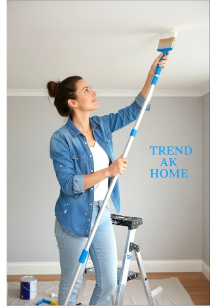 Lüks Robot Kestirme Boya Fırçası No:4