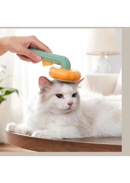 Kabak Tasarımlı Evcil Hayvan Tarağı