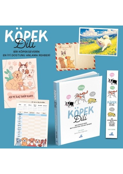 Köpek Dili - Bir Köpekseverin En Iyi Dostunu Anlama Rehberi