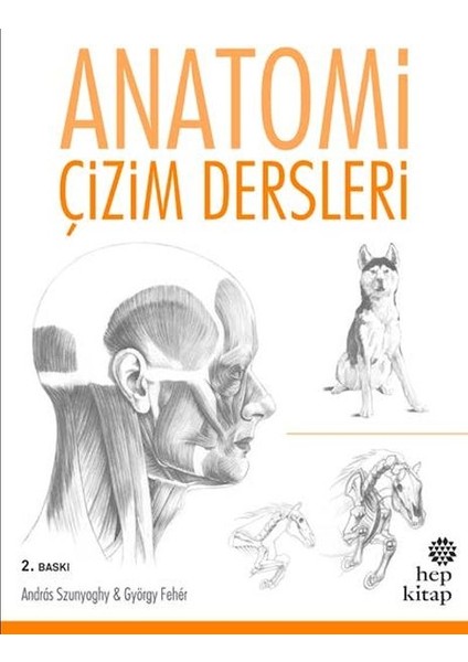 Anatomi Çizim Dersleri
