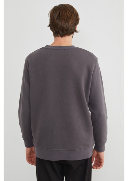 3 Iplik Nakışlı Bisiklet Yaka Sweatshirt