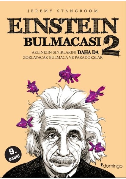 Einstein Bulmacası 2 Aklınızın Sınırlarını Zorlayacak Bulmaca ve Paradokslar