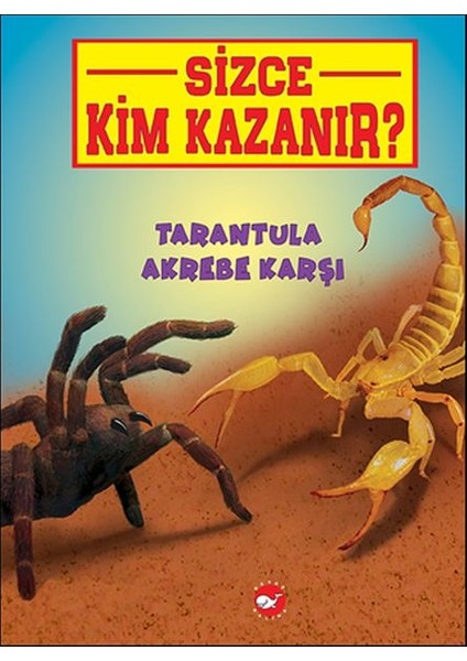 Sizce Kim Kazanır? - Tarantula Akrebe Karşı