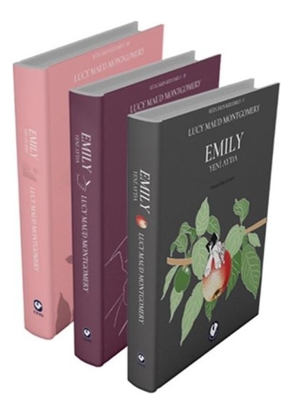 Rüzgârın Kızı Emily Serisi (3 Kitap)