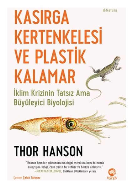 Kasırga Kertenkelesi ve Plastik Kalamar