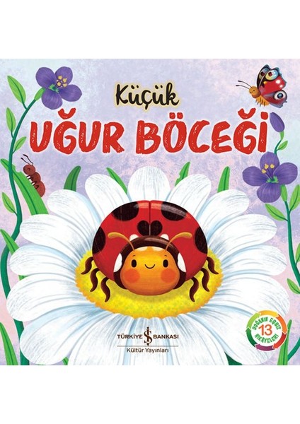 Küçük Uğur Böceği