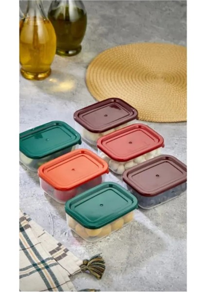 4'lü Kapaklı Saklama Kabı Çerezlik Kahvaltılık Piknik Kabı -HS-017 fiyatları