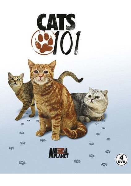 Cats 101 - Kediler
