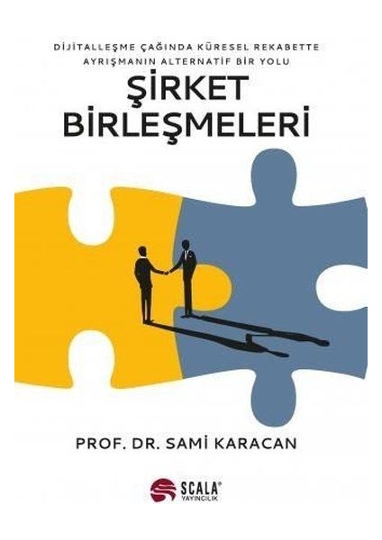 Şirket Birleşmeleri