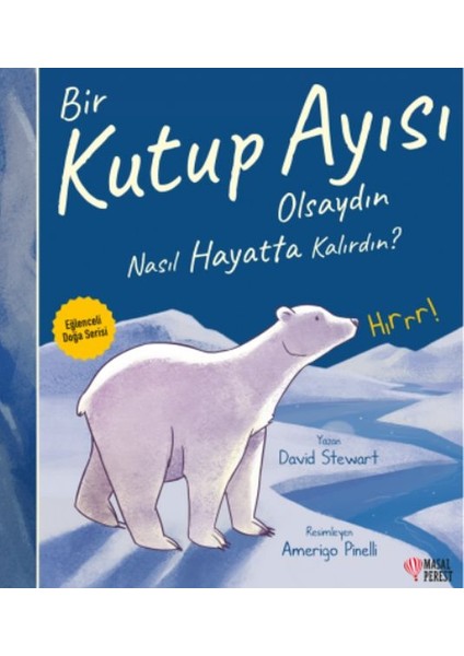 Bir Kutup Ayısı Olsaydın Nasıl Hayatta Kalırdın?
