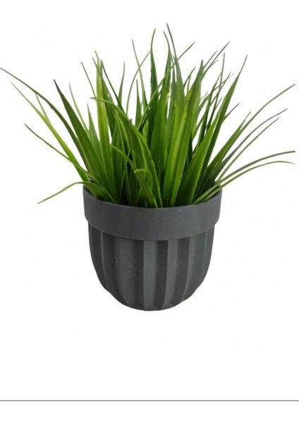 Çizgili Saksı Sazlı Çiçek -5782