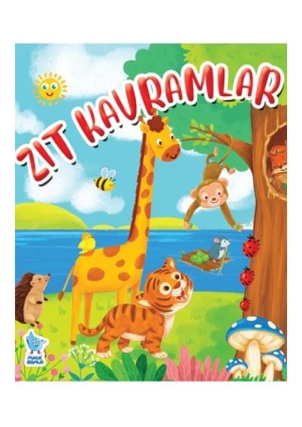 Zıt Kavramlar
