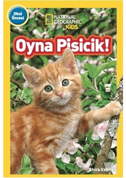 National Geographic Kids - Oyna Pisicik!