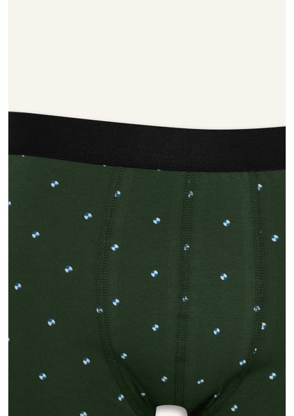 Regular Fit Puantiye 3'lü Boxer F9033AX25AU fırsatları