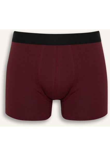 Regular Fit Puantiye 3'lü Boxer F9033AX25AU