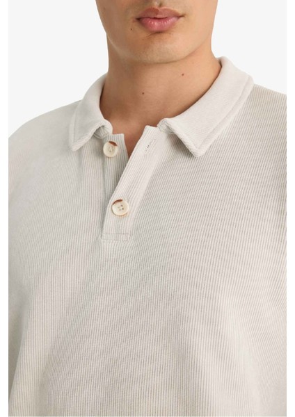 Regular Fit Polo Yaka Sweatshirt F3317AX25WN indirimleri