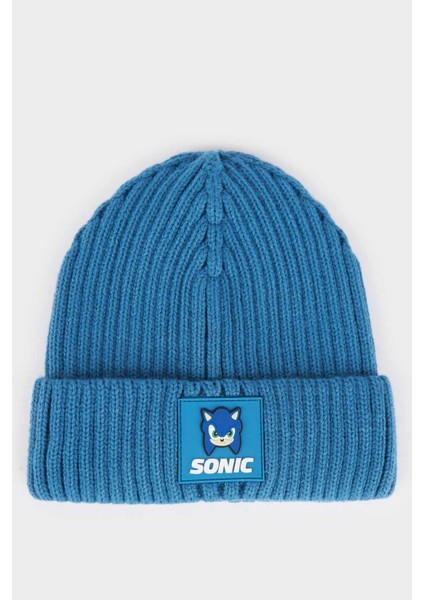 Erkek Çocuk Sonic The Hedgedog: Modern Triko Bere fiyatları