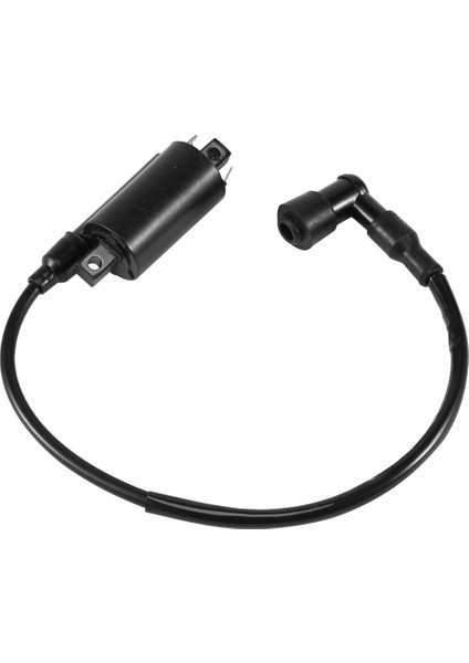 Motosiklet Ateşleme Bobinleri Yamaha GS125 GN125 VX250 Virago 1100 XV1100 XV-1100 1995-2007 (Yurt Dışından) modelleri